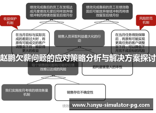 赵鹏欠薪问题的应对策略分析与解决方案探讨