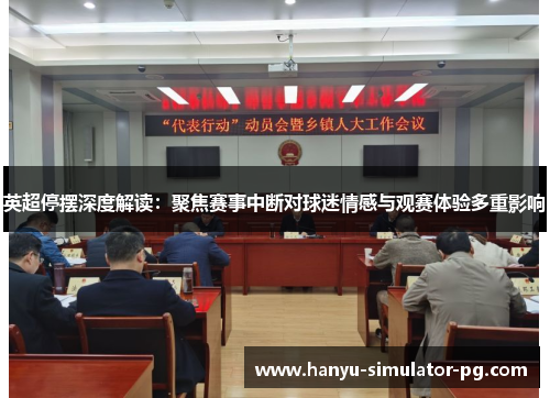 英超停摆深度解读:聚焦赛事中断对球迷情感与观赛体验多重影响 英超停摆深度解读:聚焦赛事中断对球迷情感与观赛体验多重影响