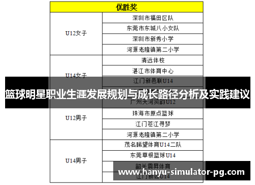 篮球明星职业生涯发展规划与成长路径分析及实践建议