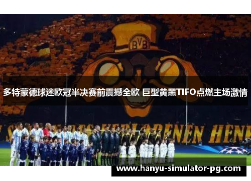 多特蒙德球迷欧冠半决赛前震撼全欧 巨型黄黑TIFO点燃主场激情 多特蒙德球迷欧冠半决赛前震撼全欧 巨型黄黑TIFO点燃主场激情