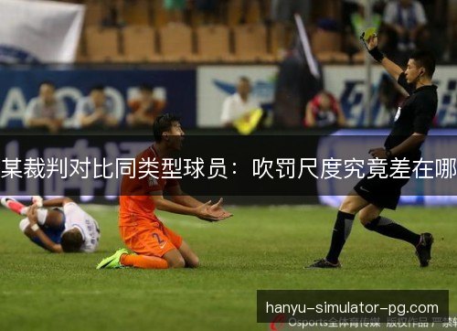 某裁判对比同类型球员：吹罚尺度究竟差在哪